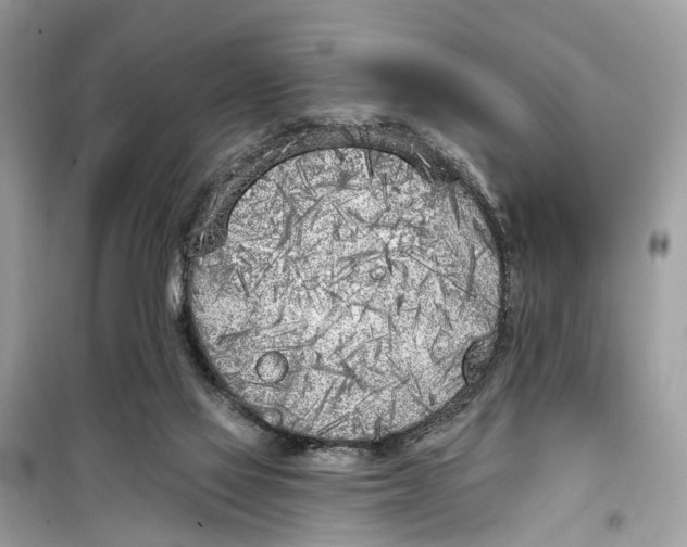 X0000099320069200805231434