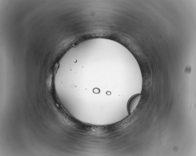 X0000099320070200805231434