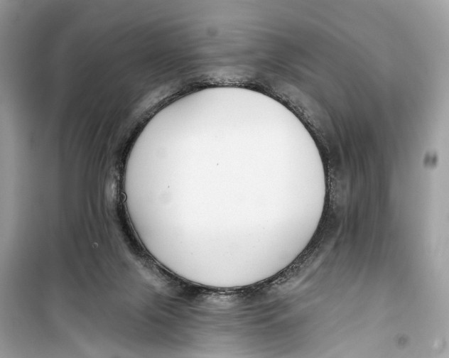 X0000099320071200805231434