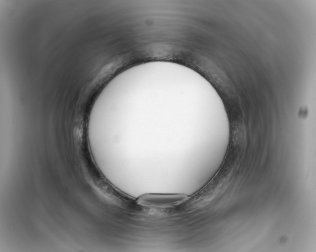 X0000099320072200805231434