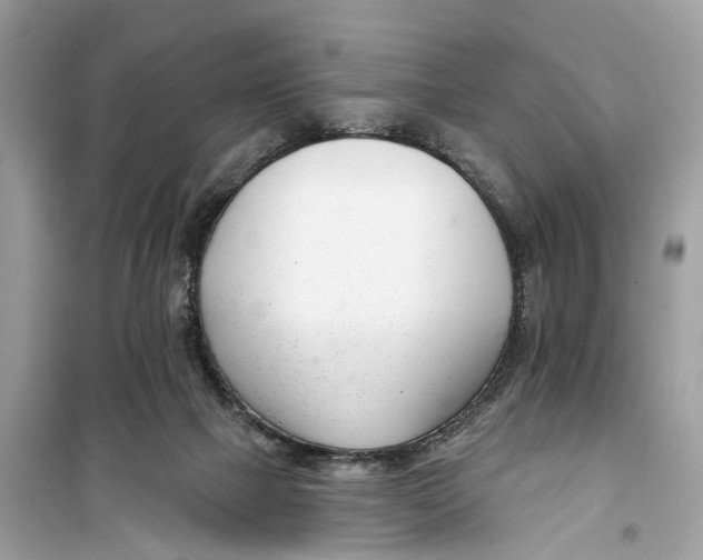 X0000099320073200805231434