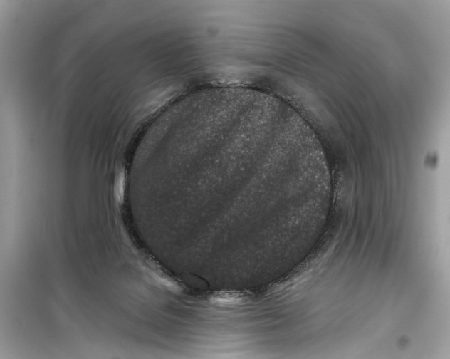 X0000099320076200805231434