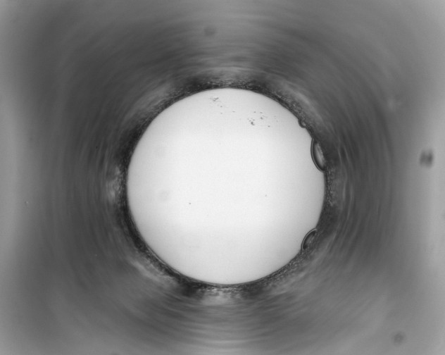 X0000099320077200805231434