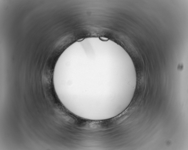 X0000099320078200805231434