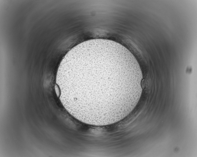 X0000099320079200805231434