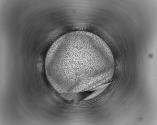 X0000099320080200805231434