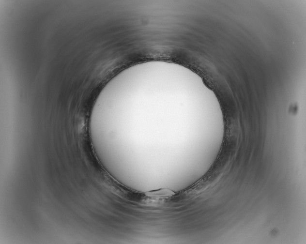 X0000099320084200805231434