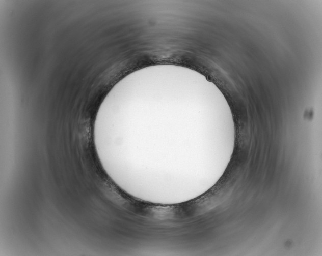 X0000099320085200805231434