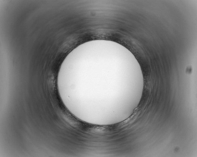 X0000099320086200805231434