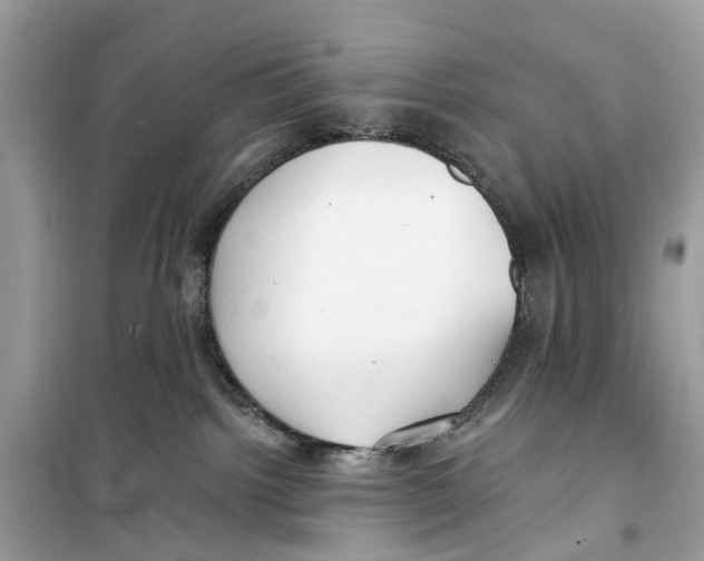 X0000099320092200805231434