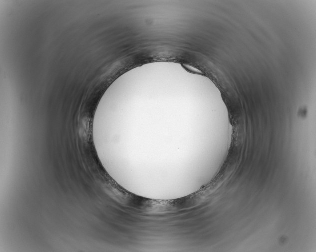 X0000099320093200805231434