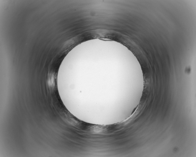 X0000099320094200805231434