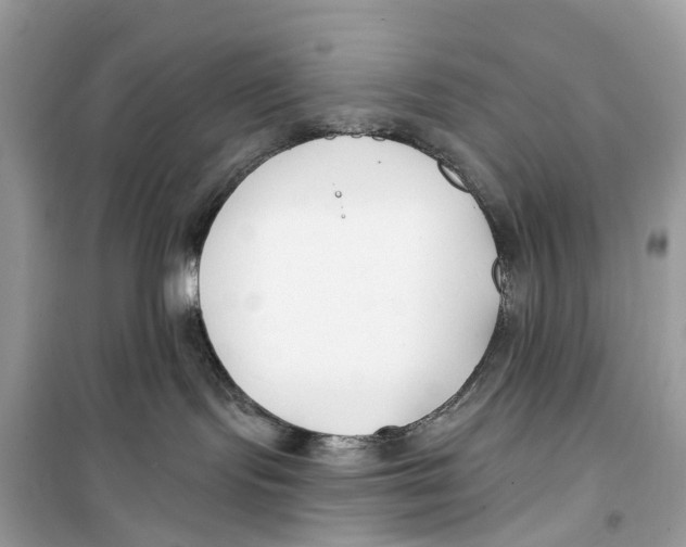 X0000099320095200805231434