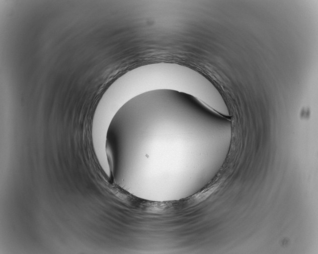 X0000099320096200805231434