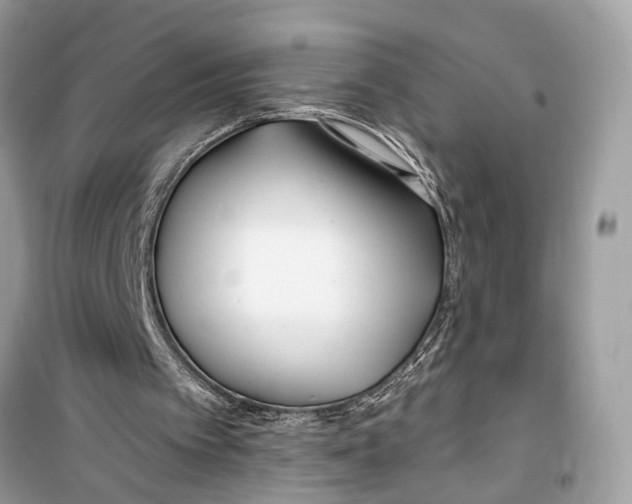 X0000099320097200805231433