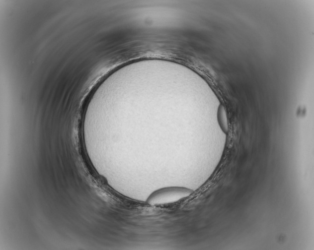 X0000099320098200805231433