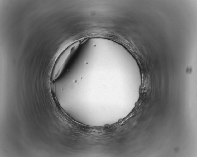 X0000099320099200805231433