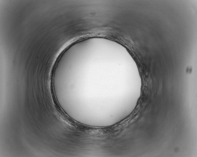 X0000099320100200805231433