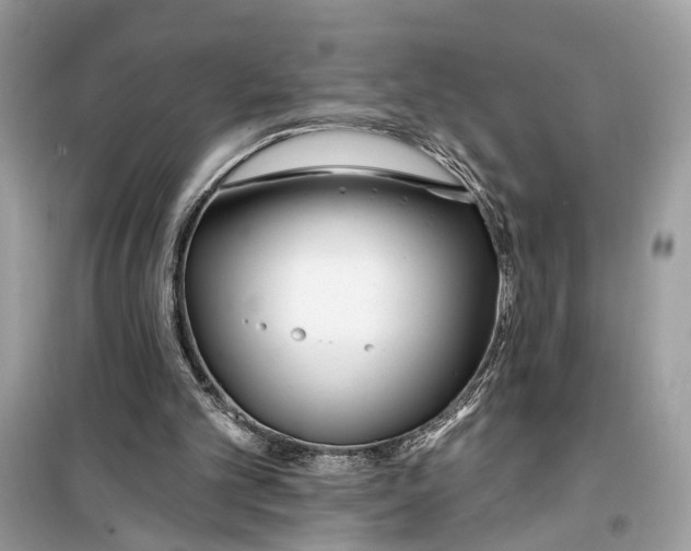 X0000099320101200805231433