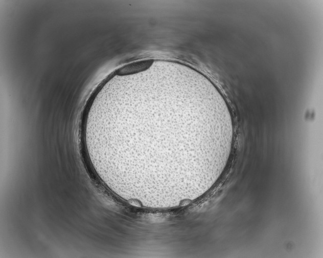 X0000099320103200805231433