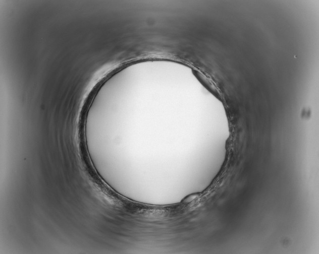 X0000099320104200805231433