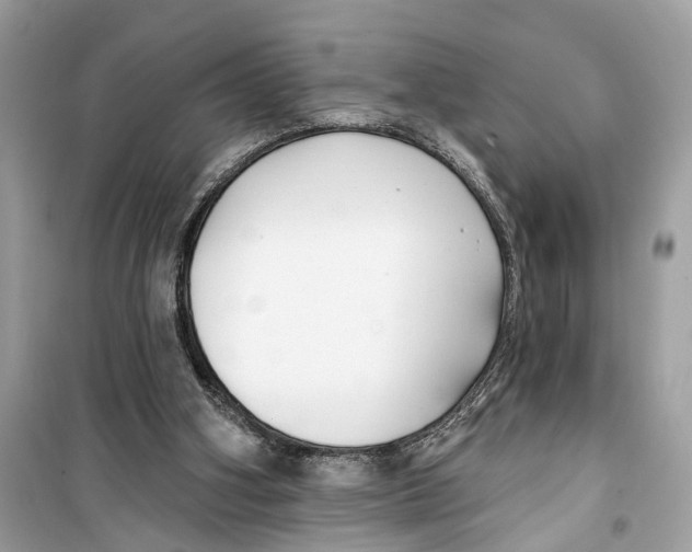 X0000099320106200805231433