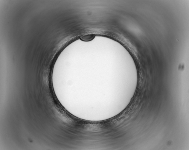 X0000099320107200805231433