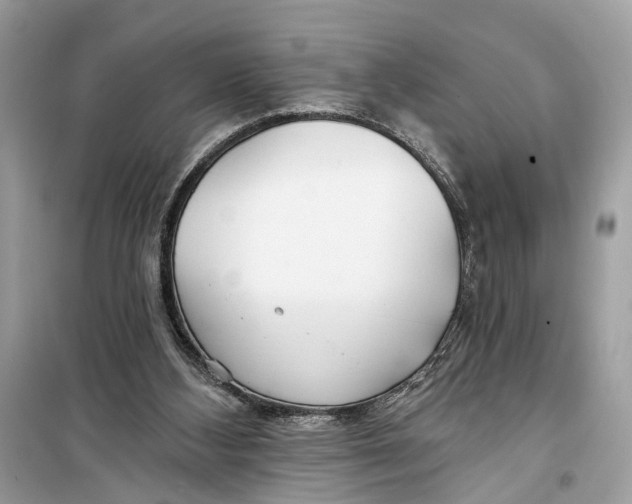 X0000099320108200805231433