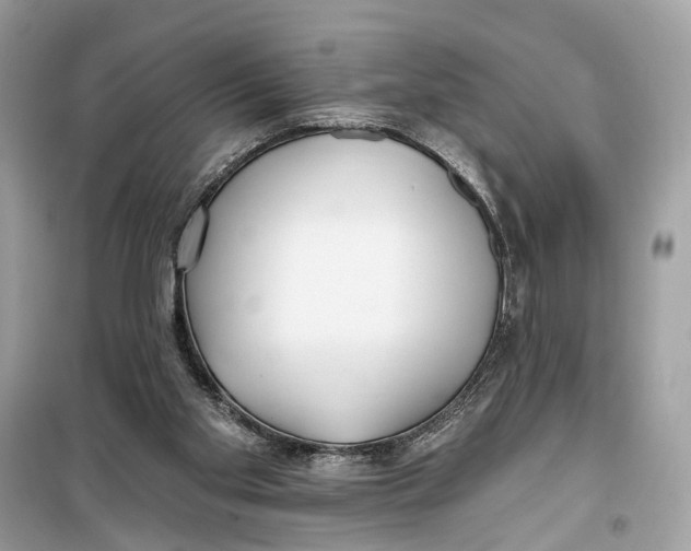 X0000099320109200805231433