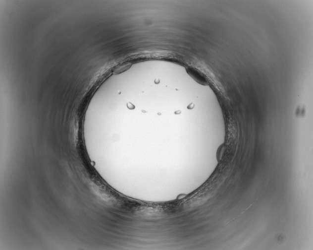 X0000099320110200805231433