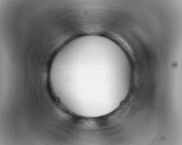 X0000099320113200805231433