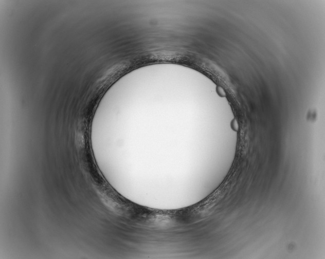 X0000099320114200805231433