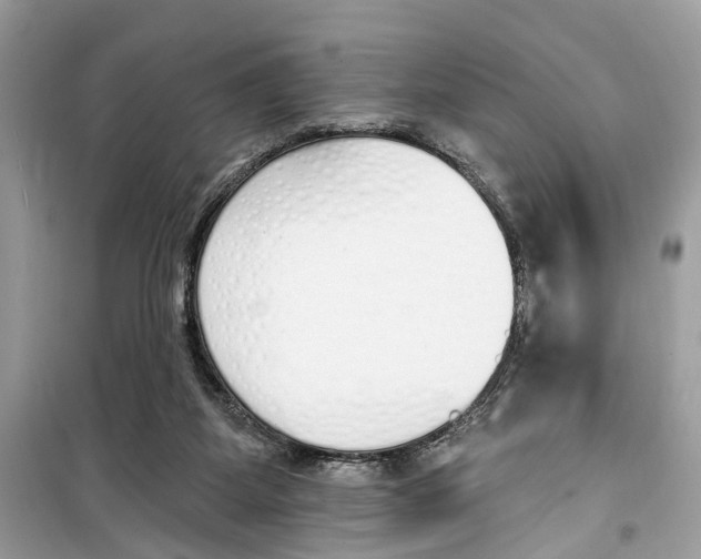 X0000099320115200805231433