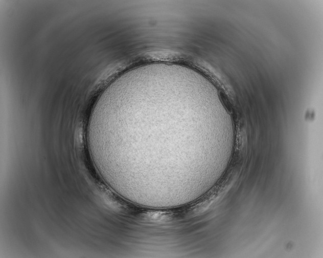 X0000099320117200805231433