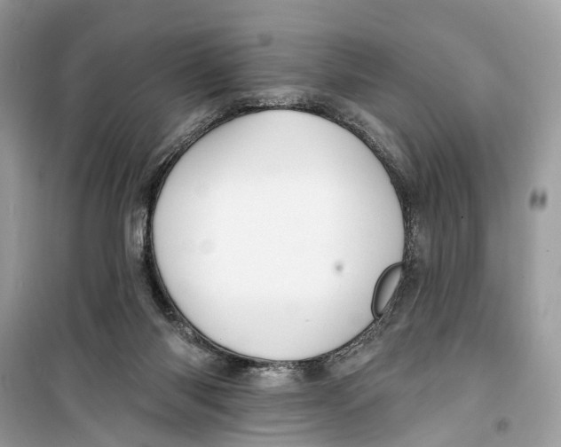 X0000099320118200805231433