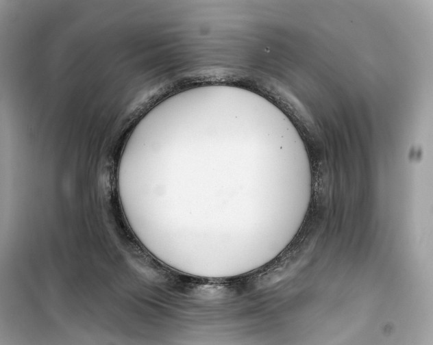 X0000099320119200805231433