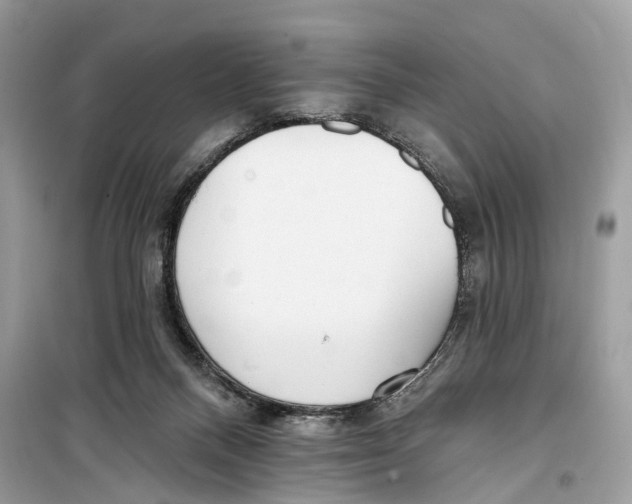 X0000099320120200805231433