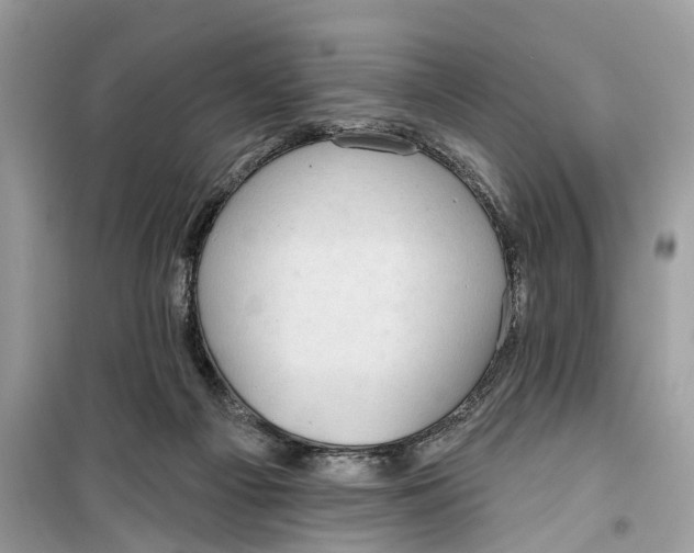 X0000099320121200805231433