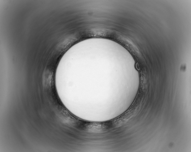 X0000099320123200805231433