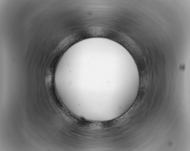 X0000099320124200805231433