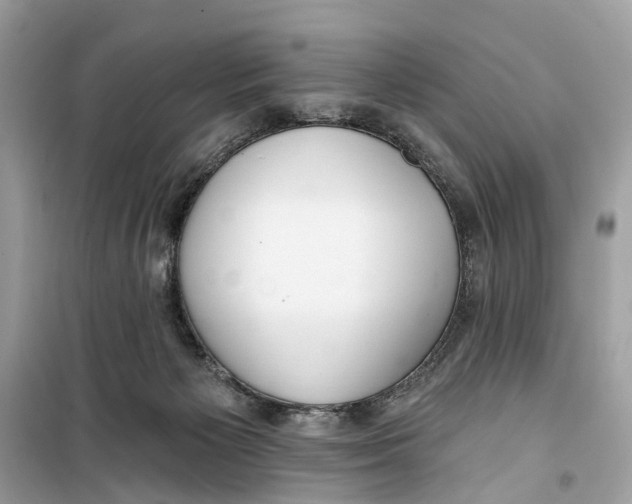 X0000099320125200805231433