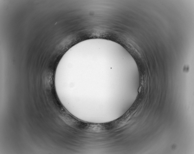 X0000099320127200805231433