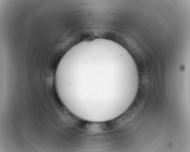 X0000099320129200805231433