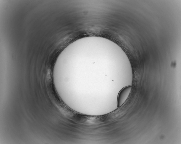 X0000099320130200805231433