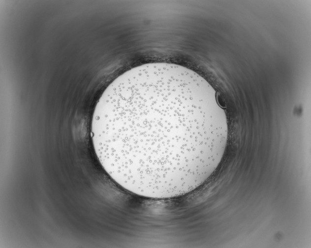 X0000099320131200805231433