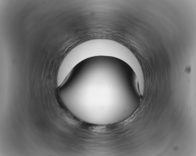 X0000099320132200805231433