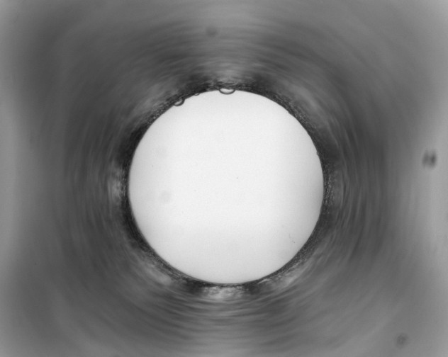 X0000099320135200805231433