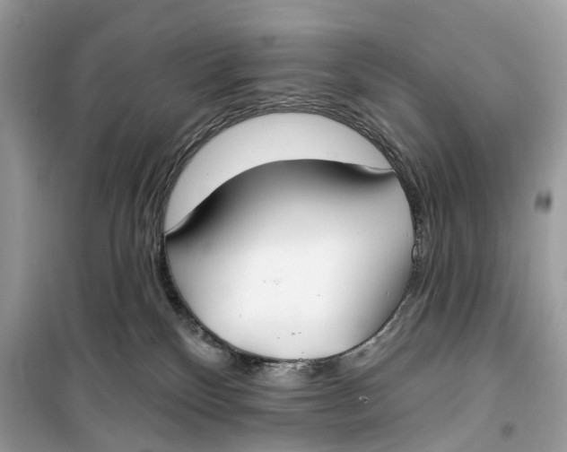 X0000099320136200805231433