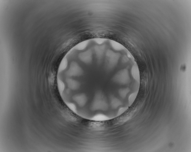 X0000099320139200805231433