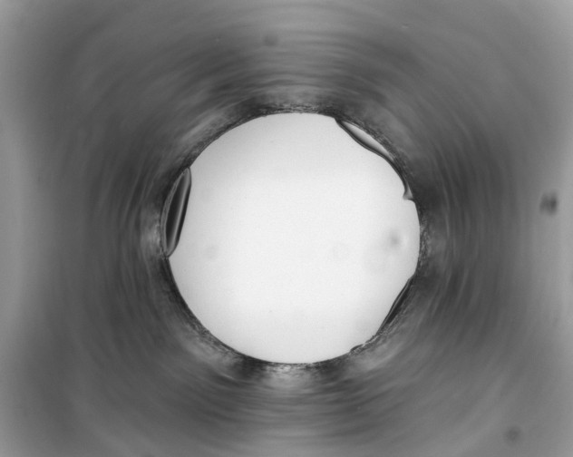 X0000099320141200805231433